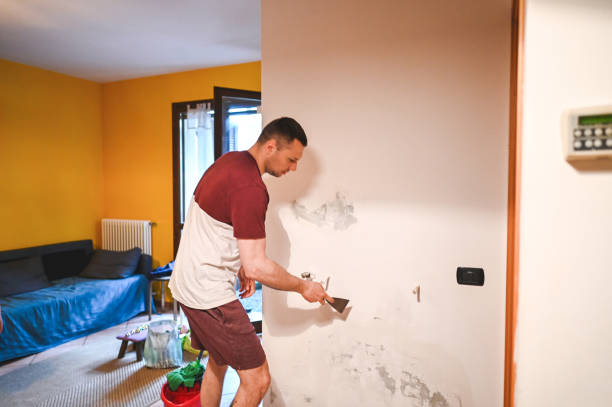 Best Office Mold Removal Services  in Greenville, MS